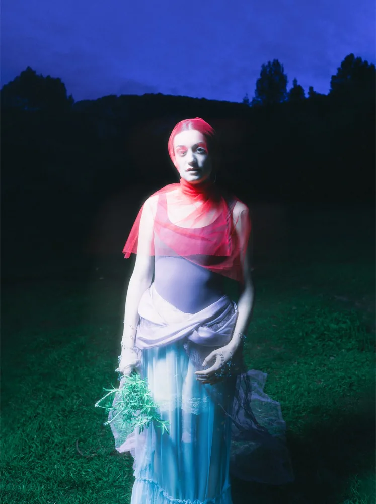 Nastallat al capvespre, fotografia d'Oriano Nicolau